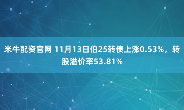 米牛配资官网 11月13日伯25转债上涨0.53%，转股溢价率53.81%