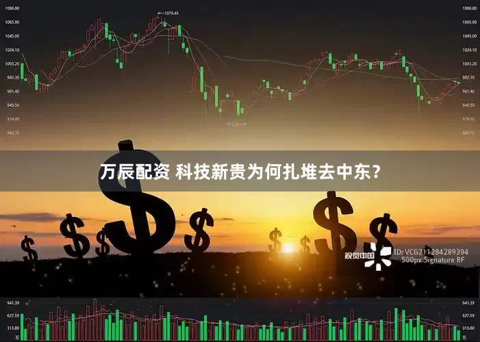 万辰配资 科技新贵为何扎堆去中东？